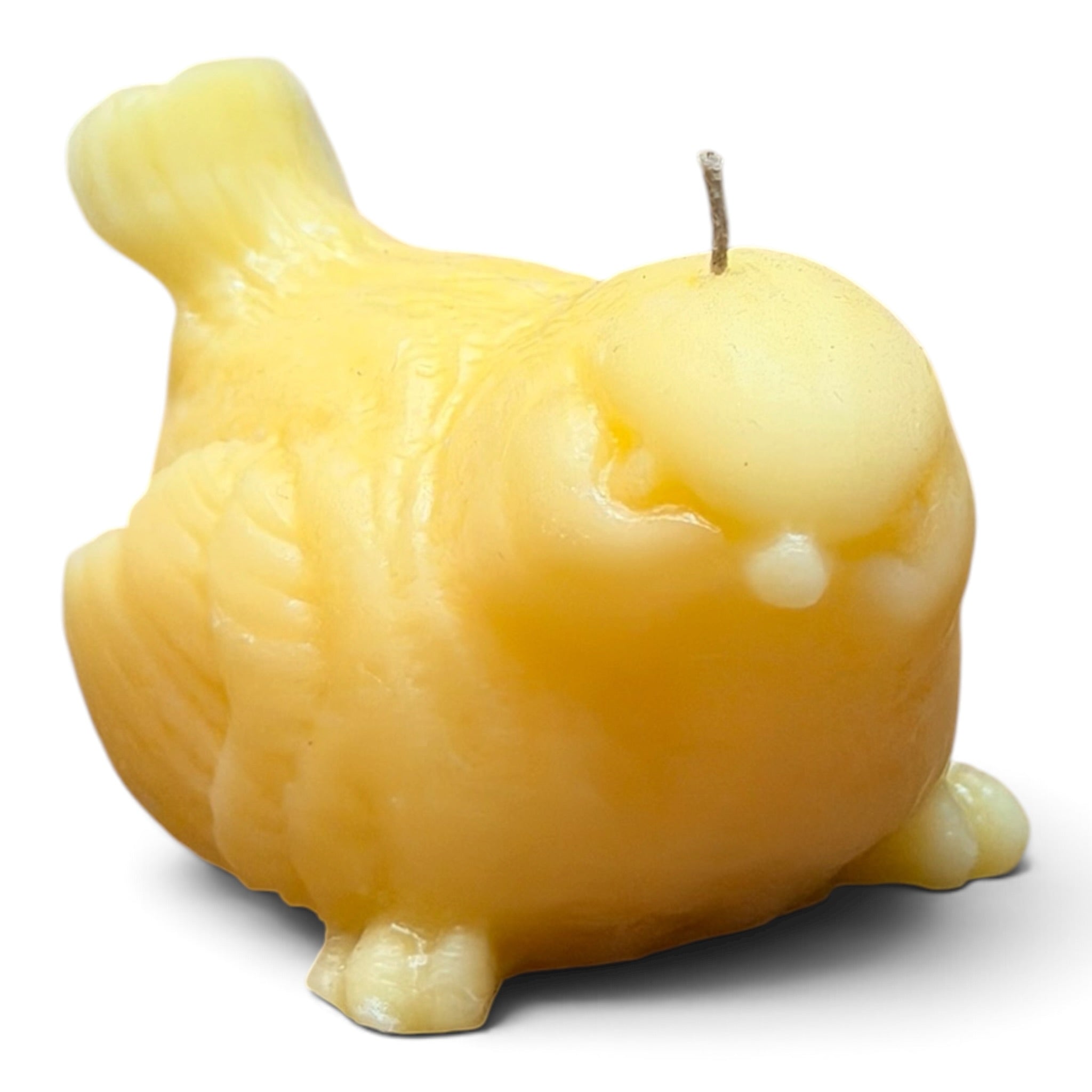 Beeswax Molded Candles