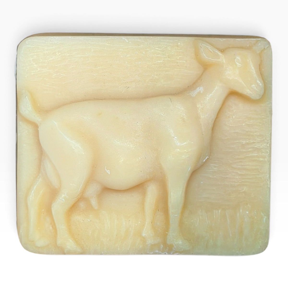 Dairy Goat Bar